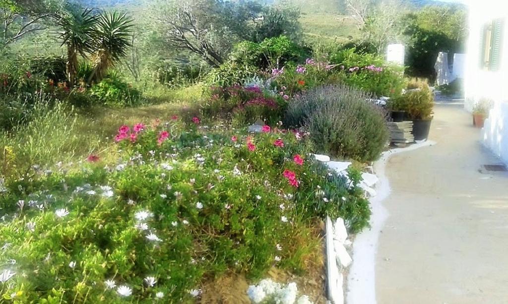 Avgoustis' Stone House Villa Otzias ภายนอก รูปภาพ