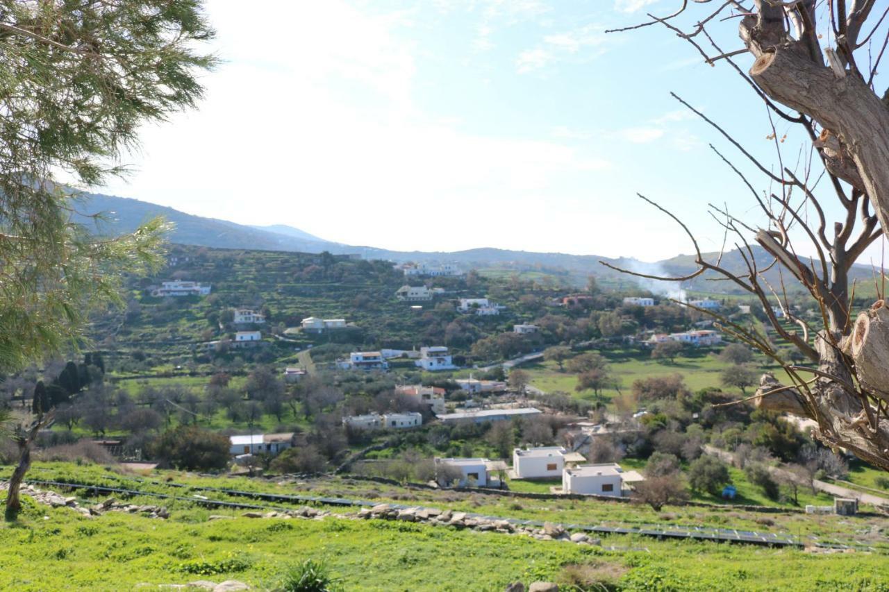 Avgoustis' Stone House Villa Otzias ภายนอก รูปภาพ